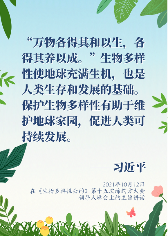 图片.png 图片.png