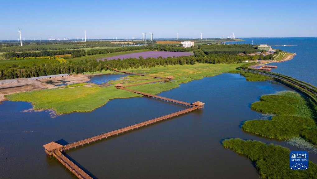 图片.png 图片.png