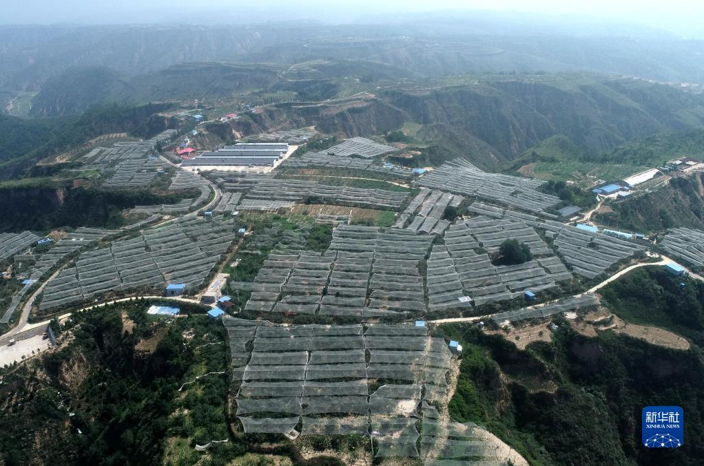 图片.png 图片.png