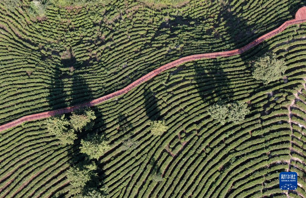 图片.png 图片.png