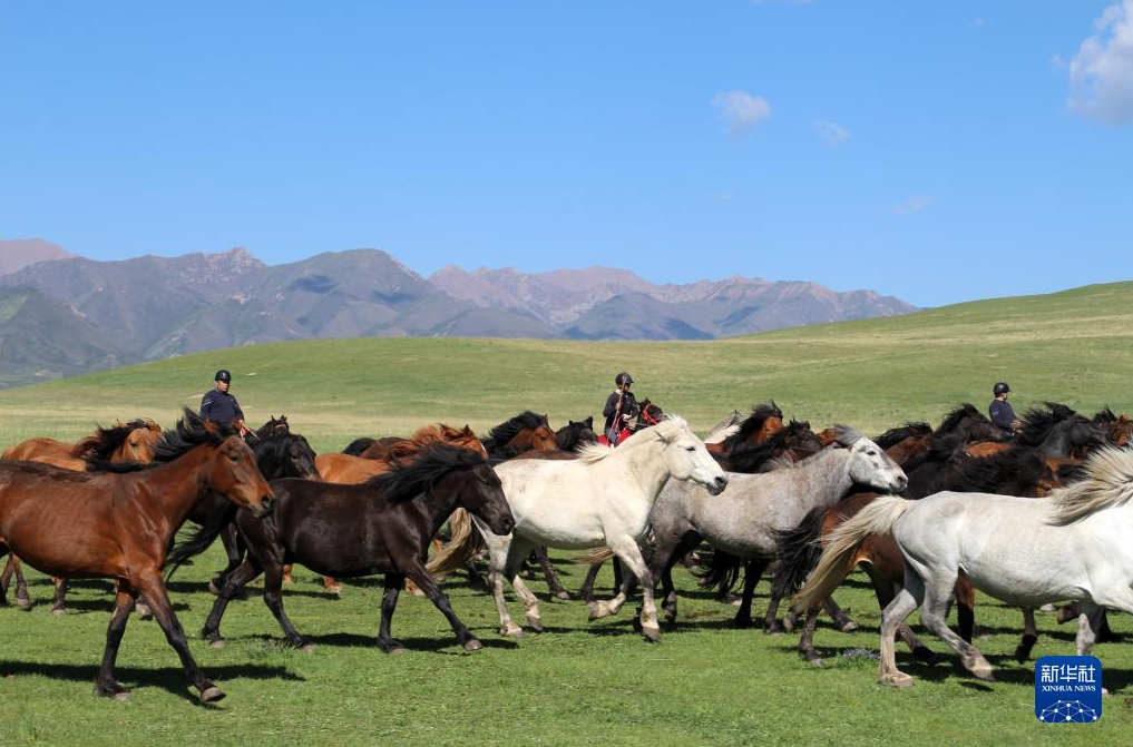 图片.png 图片.png