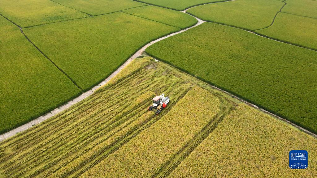 微信图片_20221001190813.jpg 微信图片_20221001190813.jpg