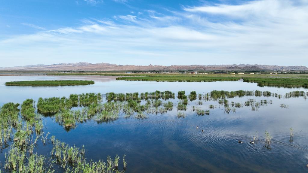 7ec56f4a8e157b24253e6a8cd052562d_1129683008_16863176945901n.jpg 7ec56f4a8e157b24253e6a8cd052562d_1129683008_16863176945901n.jpg