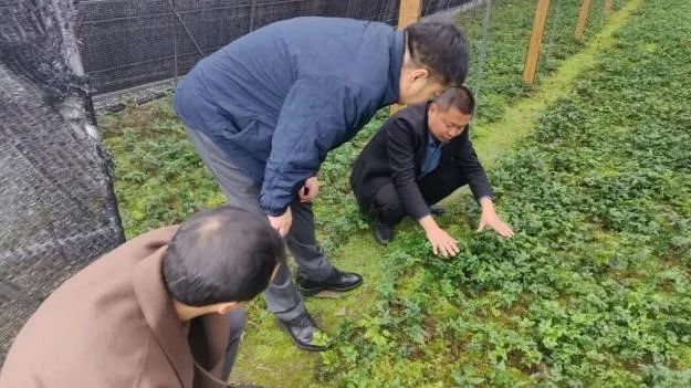 640 (2).jpg 640 (2).jpg